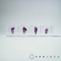 四個透明立方體壓克力塊，每個塊中各封存著一塊紫水晶原礦，呈現深淺不一的紫色，表面帶有天然結晶紋理。