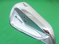 X-FORGED2024 7I 單號鐵 (桿身 DG MID 115(JP) 1S)