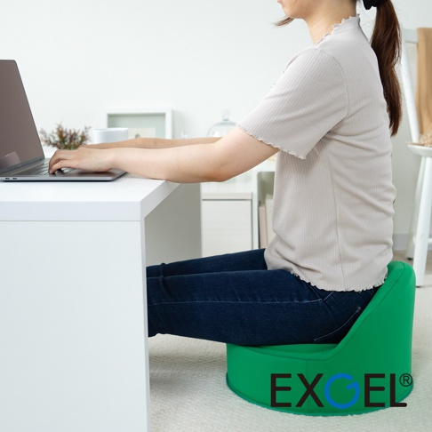 一個綠色、高圓形的腰靠墊，坐墊設計，表面有 EXGEL 品牌標誌。