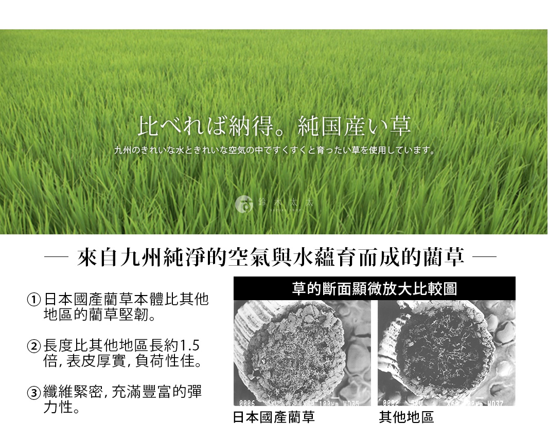 左圖為綠色稻田，右圖為兩張藺草斷面顯微鏡放大圖，顯示日本國產藺草與其他地區藺草的纖維差異。