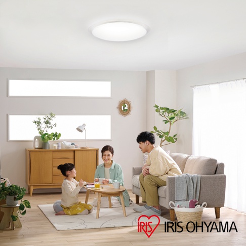 圓形半透明吸頂燈，散發柔和白光，懸掛於明亮客廳天花板。