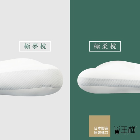 兩張白色枕頭的特寫，左側為「極夢枕」，右側為「極柔枕」，枕頭均帶有天絲 TENCEL 枕套。