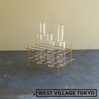 金色金屬網架上擺放著六個透明玻璃試管狀花器，每個花器都呈現圓柱形，開口向上，用於插置植物。