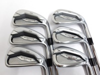 QUANTUM MAX 鐵桿組 (桿身 DG95 6S)