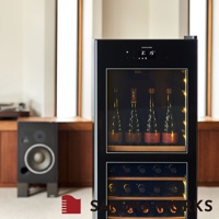 黑色雙溫酒櫃，上方玻璃門內擺放四瓶酒，下方展示多層酒架，酒櫃頂部有顯示溫度與控制面板。