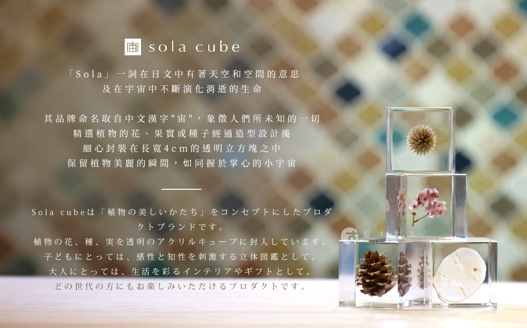 Sola cube 產品展示，內有乾燥花、櫻花、松果及一片貝殼，以透明立方體封裝，象徵將植物縮小化，作為生活擺飾或禮物。