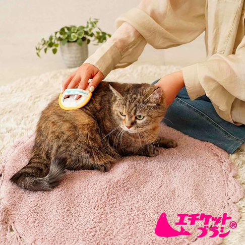一位穿著米色上衣的女性坐在白色長毛地毯上，正使用黃白色的 Nippon Seal 貓咪專用浮毛梳理刷為一隻棕色花紋的貓咪梳理毛髮，貓咪坐在粉紅色的圓形地毯上。圖片右下角有該品牌粉色系的日文商標。