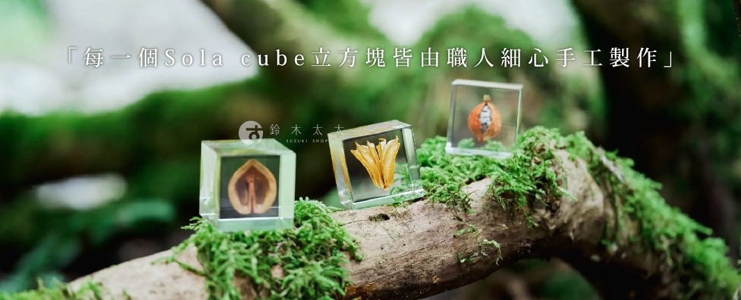 三個透明壓克力立方塊，分別封存著乾燥的植物種子、花瓣和果實，擺放在佈滿苔蘚的樹枝上，背景是模糊的綠色森林。