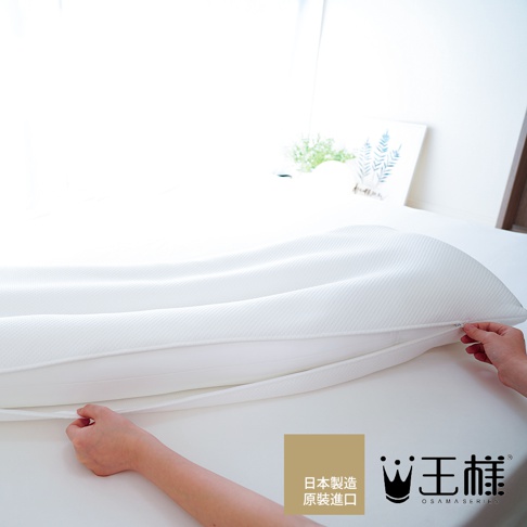 一條白色、寬長型的記憶棉枕頭，枕套表面有細緻的網格紋理，並配有拉鍊。背景為明亮的窗戶和裝飾畫。