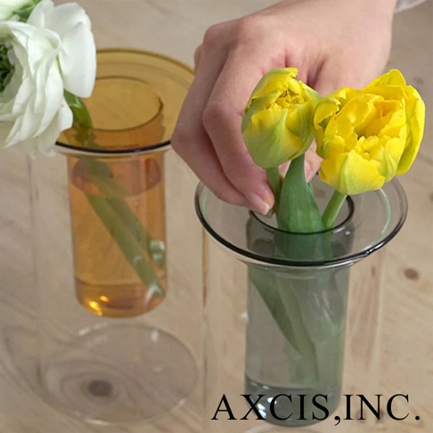 AXCIS, INC. 標誌出現在一個雙層玻璃花瓶的圖片底部，花瓶中插著黃色鬱金香，旁邊還有一個裝有白色花朵的琥珀色花瓶。