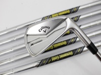 X-FORGED2024 鐵桿組 (桿身 DG MID 115(JP))