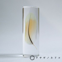 透明圓柱體內封存一支桃面牡丹鸚鵡羽毛，羽毛呈現綠色與橘黃色漸層，帶有黑色羽軸。