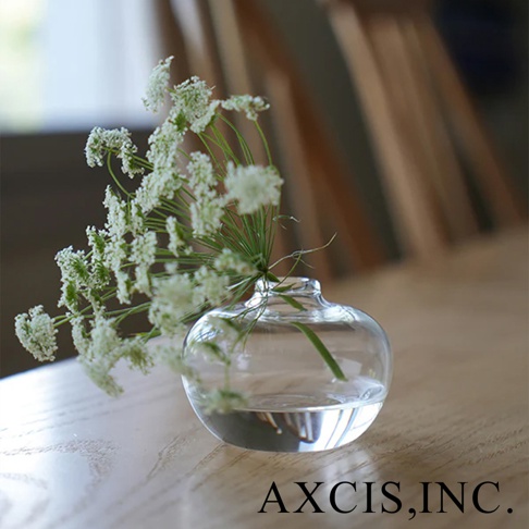 AXCIS, INC.