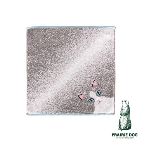 這款 Prairie Dog 今治細柔貓感刺繡方巾呈現灰白色漸層紋理，右下角繡有一隻露出半張臉的灰色花紋貓咪，配有粉色耳尖與水藍色眼睛，邊緣採用淺藍色縫線收邊。