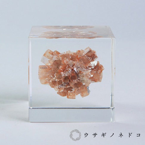 透明立方體內嵌入一簇橘棕色霰石晶體，晶體呈放射狀聚集，部分晶面清晰可見。