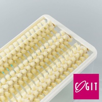 白色塑膠盒內裝有密集的米白色圓柱形刷毛，刷毛呈 rows and columns 排列，用於清潔。