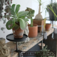 黑色圓形鐵製可夾式小物桌，附有銀色金屬支架，可夾於木質檯面上，上方擺放著盆栽植物。