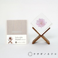 Sola cube 八重紅枝垂櫻花立方塊置物架組 (共2款)