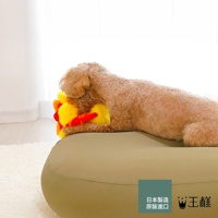 一隻米色貴賓犬趴在淡綠色的圓形寵物床上，用頭部靠著一個黃色與紅色相間的雞造型玩具，圖片右下角有日文「日本製造 原裝進口」和「王樣」的品牌標誌。