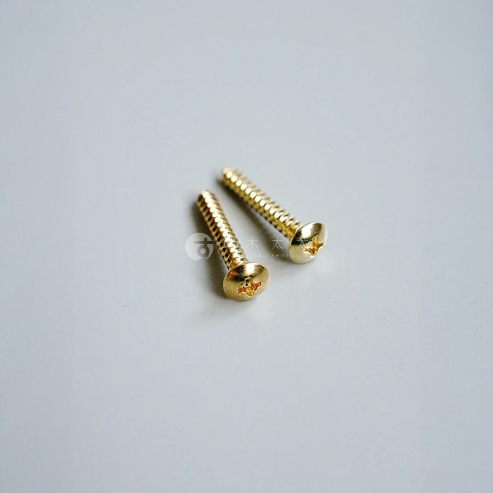 兩個黃銅十字螺絲，其中一個帶有模糊的日文文字標誌。