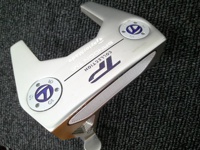 TP COLLECTION HYDRO BLAST BANDON TM1 推桿 (桿身 鋼[34])