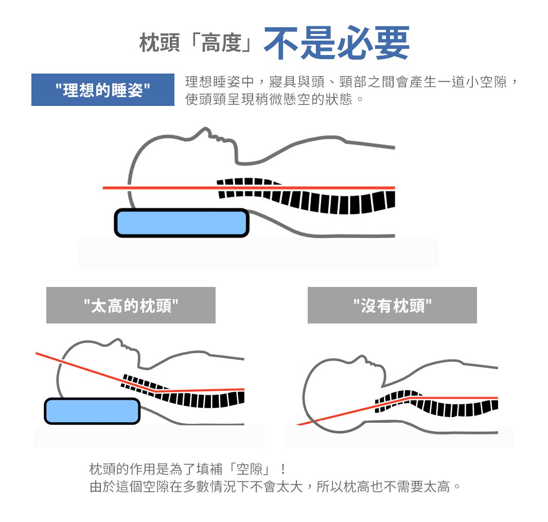 枕頭「高度」不是必要

理想的睡姿

理想睡姿中，寢具與頭、
頸部之間會產生一道小空隙，
使頭頸呈現稍微懸空的狀態。


枕頭的作用是為了填補「空隙」！
由於這個空隙在多數情況下不會太大，
所以枕高也不需要太高。

太高的枕頭                  沒有枕頭

理想の寝姿勢では、敷き寝具と頭・首との間に小さな隙間ができ、頭・首が少し浮いたような状態になります。
