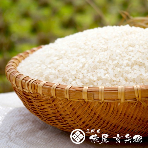 編織籃盛滿飽滿的白色越光米，背景是模糊的綠色植物。