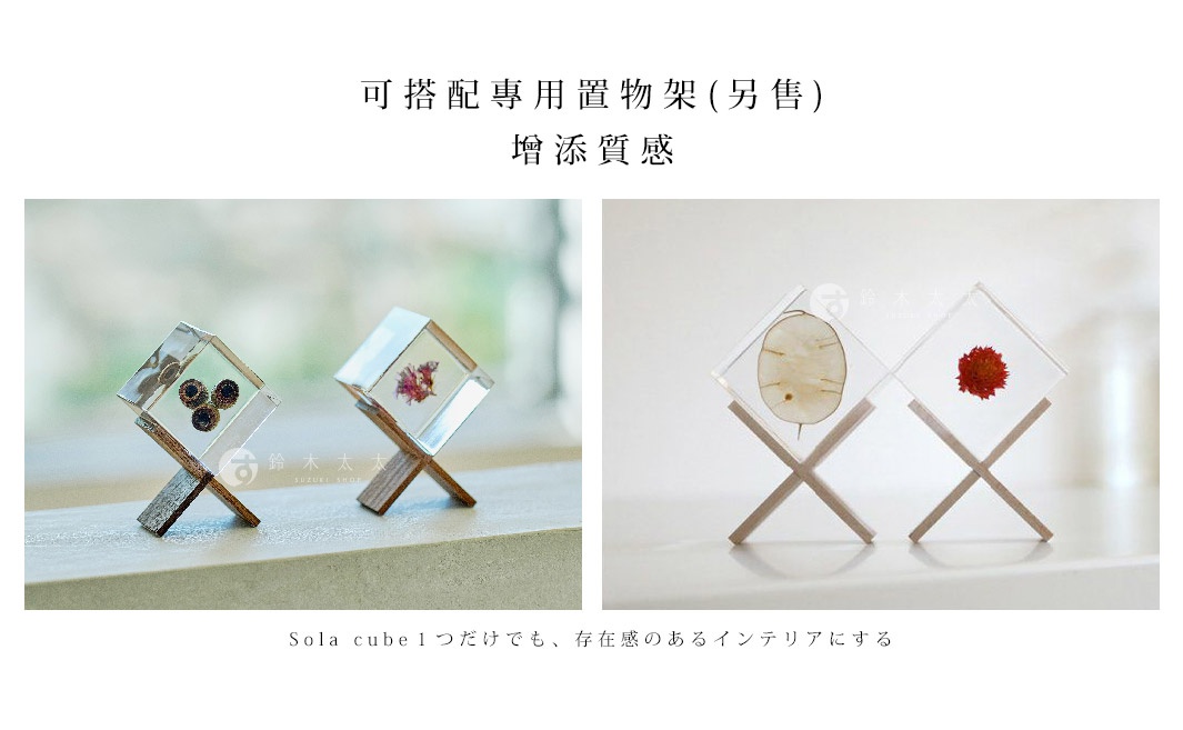 兩個透明方形樹脂塊，內含乾燥植物：左邊塊內有三顆深棕色種子，右邊塊內有一片淡黃色植物，另一塊內有一朵紅色乾燥花。兩者皆由交叉的淺木色支架固定。