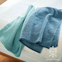 兩條 SOLID 細柔蓬韌緞澤長纖毛巾，分別為淺綠色與藍色，材質觸感蓬鬆，表面有細緻的織紋。