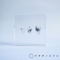 透明壓克力方塊中，三顆帶有銀灰色內含物的天然水晶片狀標本，呈現不規則切面，置於淺藍色背景上。