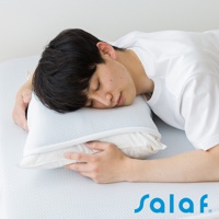SALAF COOL 極致涼感透氣枕套