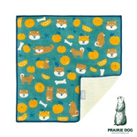 一塊綠松石色方巾，上面印滿了可愛的柴犬頭像、站立的柴犬、趴著的柴犬、橘色水果、骨頭和星星圖案。方巾的右下角翻起，露出米白色的毛巾材質。