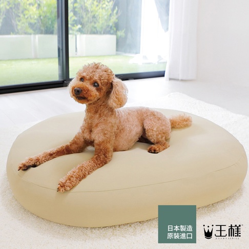 日本製造的王樣寵物夢枕，上面躺著一隻紅棕色的貴賓犬，貴賓犬趴在米駝色的圓形軟墊上，眼神望向前方。