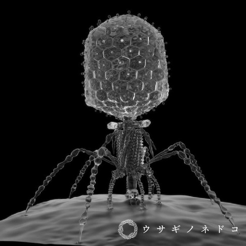 透明的雷射雕刻立方體，內部呈現噬菌體T4結構，具有多邊形頂部、細長頸部和六條腿，置於淺色表面上。