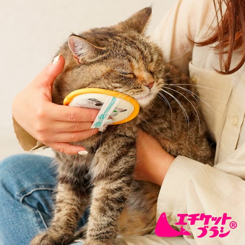 一位女性正溫柔地抱著一隻虎斑貓，並使用 Nippon Seal 品牌的橢圓形エチケットブラシ貓咪浮毛梳理刷，輕輕刷理貓咪的臉頰與頸部，貓咪看起來非常享受且眼睛微閉。右下角帶有粉紅色的品牌標誌。