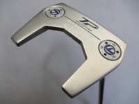 TP COLLECTION HYDRO BLAST BANDON TM1 推桿 (桿身 鋼[34])