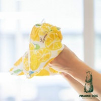 五層紗質地的擦拭巾，印有黃色檸檬圖案，由雙手拿著，背景模糊，有品牌標誌。