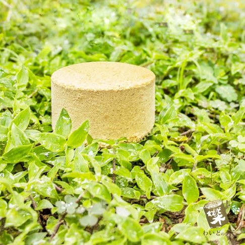 圓柱狀淺黃色塊狀物，表面有細顆粒紋理，置於一片綠色植物叢中，植物葉片帶有水珠。