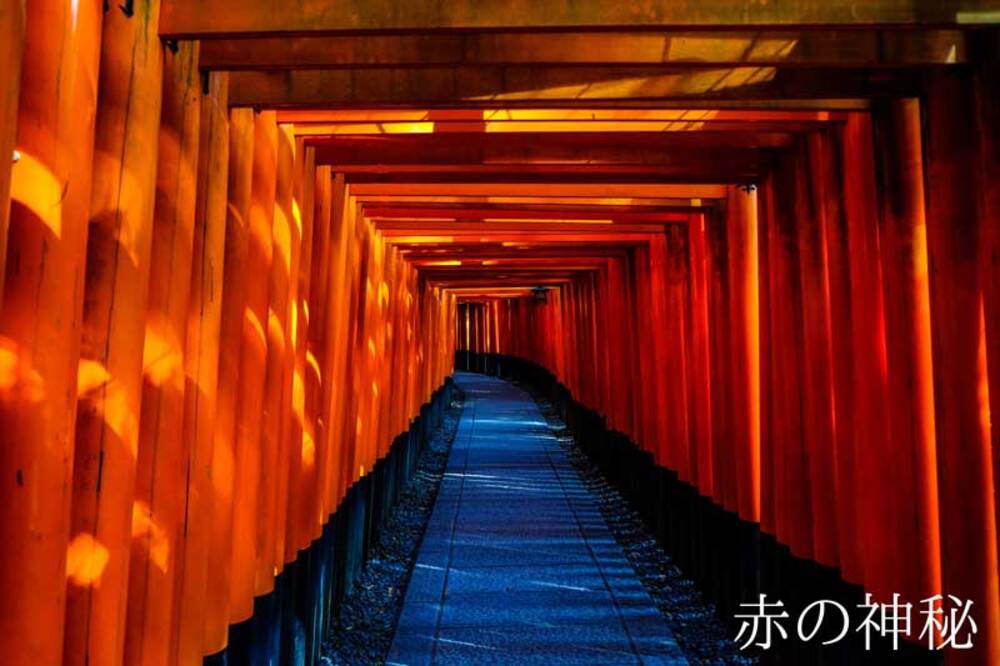 一條鋪設著深藍色磚塊的小徑，兩旁是延伸至遠方的成排朱紅色木製鳥居，光線從上方穿透，形成明暗交錯的紋理，營造出日式庭園的氛圍。