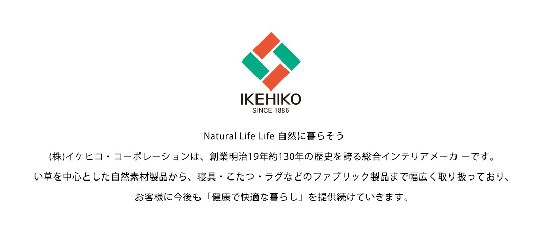 水洗PP材質，榻榻米風格地墊，織紋清晰，邊緣整齊，呈現大地色系，質感樸實。