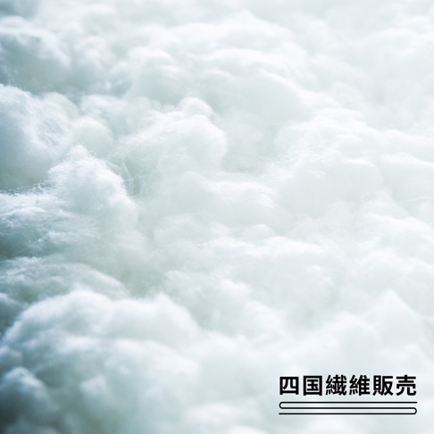 蓬鬆的白色棉絮，細緻柔軟，呈現雲朵般的質感，細節處帶有淺藍色調。