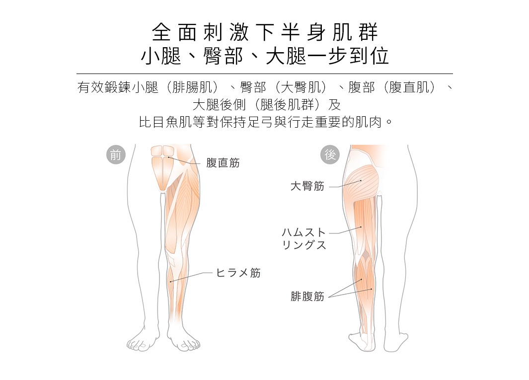圖片文字：全面刺激下半身肌群 小腿、臀部、大腿一步到位 有效鍛鍊小腿（腓腸肌）、臀部（大臀肌）、腹部（腹直肌）、大腿後側（腿後肌群）及比目魚肌等對維持足弓與行走重要的肌肉。