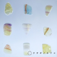 九塊不同形狀的螢石切片標本，呈現透明、淡黃、藍色、粉紅色和紫色等顏色，部分有明顯的紋理和色帶。