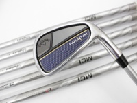 PARADYM 鐵桿組 (桿身 更換桿身 MCI 50)