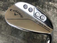 JAWS RAW CHROME 50-12W 挖起桿 (桿身 N.S.PRO 950GHneo(JP))