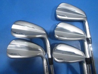 i530 鐵桿組 (桿身 N.S.PRO 950GHneo(JP) 5S)