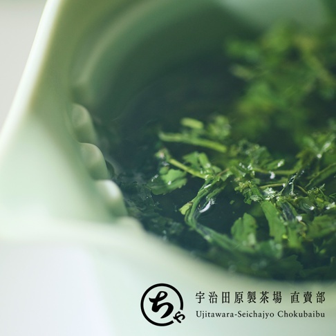 一張特寫鏡頭展示了淡綠色的美濃燒一人用茶壺，壺中盛裝著正在浸泡的深綠色茶葉與茶湯。畫面右下方印有宇治田原製茶場直賣部的圓形標誌，整體呈現出清新且充滿日式茶道美學的氛圍。