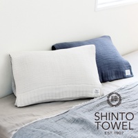 兩顆枕頭，一顆為白色雙面紗布，另一顆為藍色雙面紗布，皆放置於床上。