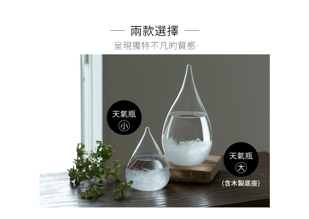 兩個透明玻璃製成的雨滴狀天氣瓶，內含白色結晶，置於木製底座上，左側有一叢綠色植物。