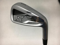 XXIO X 2024 鐵桿組 (桿身 D/G 95)